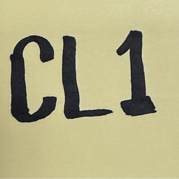 Pillow Covers. Never Used. Came with Furniture. 21”x21”. Cream, Beige, Blue. - Picture 8 of 8